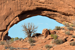 North-Window-D800E-040897
