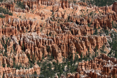 Bryce-Amphitheater-D800E-036908