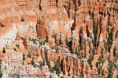 Bryce-Amphitheatre-D800E-036783