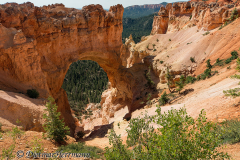 Bryce-Canyon-Arch-D800E-036619