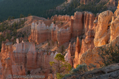 Bryce-Canyon-D800E-035197