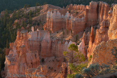 Bryce-Canyon-D800E-035198