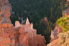 Bryce-Canyon-D800E-035200