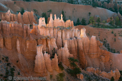 Bryce-Canyon-D800E-035203