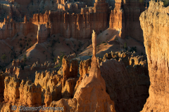 Bryce-Canyon-D800E-035204