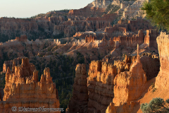Bryce-Canyon-D800E-035206