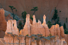 Bryce-Canyon-D800E-035210