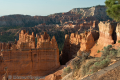 Bryce-Canyon-D800E-035229
