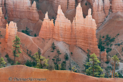 Bryce-Canyon-D800E-035243