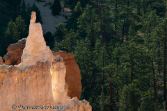 Bryce-Canyon-D800E-035245