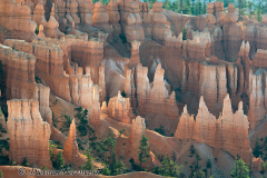 Bryce-Canyon-D800E-035326
