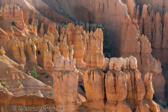 Bryce-Canyon-D800E-035383