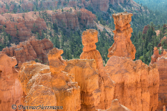 Bryce-Canyon-D800E-035554