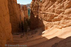 Bryce-Canyon-D800E-035638