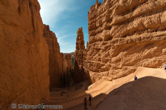 Bryce-Canyon-D800E-035646