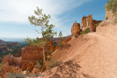Bryce-Canyon-D800E-035674