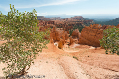 Bryce-Canyon-D800E-035678