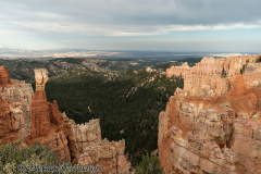 Bryce-Canyon-Hunter-and-Rabbit-D800E-035932