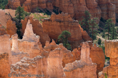 Bryce-Canyon-Queen-Elizabeth-D800E-035526