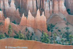 Bryce-Canyon-Sandsteinfiguren-D800E-035243