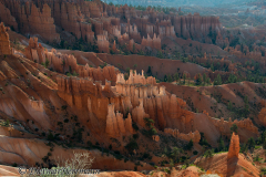 Bryce-Canyon-Sandsteinfiguren-D800E-035306