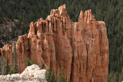 Bryce-CanyonD800E-035779