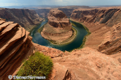 Horseshoe-Bend-D800E-038879