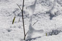 Schnee-Z7II-125309
