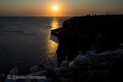 Helgoland-Sonnenuntergang-Z9-216222