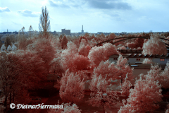 IR-Blick-aus-dem-Buerofenster-_DSC6594