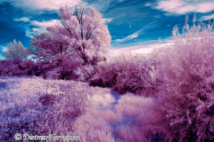 IR-Leinemasch-Harkenblecker-Furt-_DSC6570