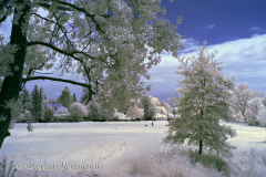 IR-Leinerandstr-Wiese-und-Haus-_DSC5189