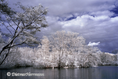 IR-Loenspark-D300-187673