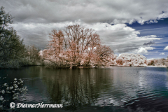 IR-Loenspark-D300-187685