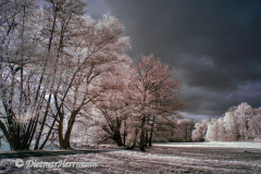 IR-Loenspark-D300-187774