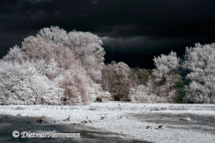 IR-Loenspark-D300-187850