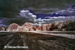 IR-Loenspark-D300-187880