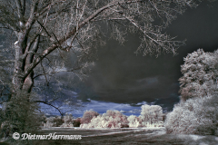 IR-Loenspark-D300-187894