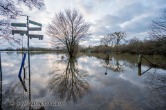 Leinehochwasser-Weg-zum-Badeteich-Z8-038435