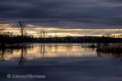Leinehochwasser-Wehrkamp-Wiese-_DSC8274
