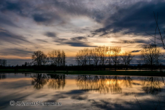 Leinehochwasser-Wehrkamp-Wiese-_DSC8314