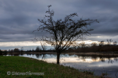 Leinehochwasser-Wiese-beim-Beobachtungsturm-_DSC8222