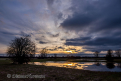 Leinehochwasser-Wiese-beim-Storchnenest-_DSC8309
