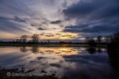 Leinehochwasser-Wiese-beim-Storchnenest-_DSC8311
