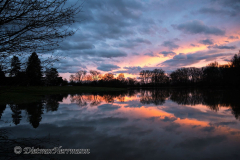 Sonnenuntergang-Hochwasser-Leinerandstr-Z8-037772