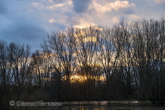 Sonnenuntergang-Leinehochwasser-Z8-037692