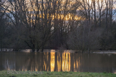 Sonnenuntergang-Leinehochwasser-Z8-037704