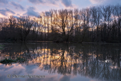 Sonnenuntergang-Leinehochwasser-Z8-037739