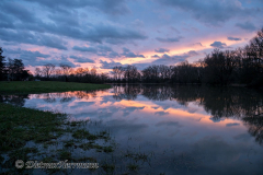 Sonnenuntergang-Leinehochwasser-Z8-037750