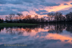 Sonnenuntergang-Leinehochwasser-Z8-037760